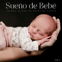 Sueño De Bebé: Calmos Ruidos De Gotas De Lluvia Vol. 1 - Ruido Blanco Para Bebes