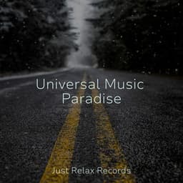 Universal Music Paradise - Meditar Profundamente