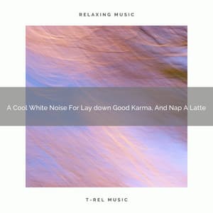 A Cool White Noise For Lay down Good Karma, And Nap A Latte - Sleepful Noises