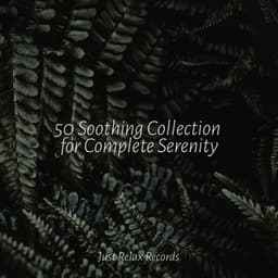 50 Soothing Collection for Complete Serenity - Nursery Rhymes Club