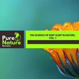 The Essence of Deep Sleep in Nature, Vol. 1 - Nature Field Recordings