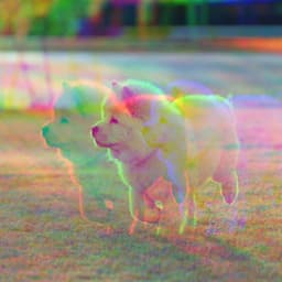 Music for Jazzy Chill Dogs - Jazz Quintet - Puppy Music