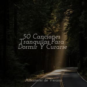 50 Canciones Tranquilas Para Dormir Y Curarse - Canciones de Cuna para Bebés Acadèmico