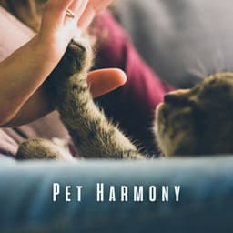 Pet Harmony: Meditative Melodies for Peaceful Companions - Restful Pets