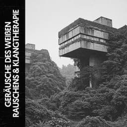 Geräusche des Weißen Rauschens & Klangtherapie: Harmonien für friedliche Gemüter - The White Noise Travelers