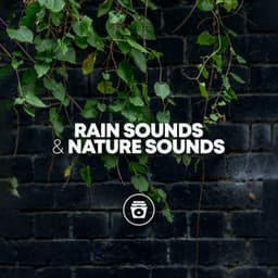 Rain Sounds & Nature Sounds - Heavy Rain Sounds