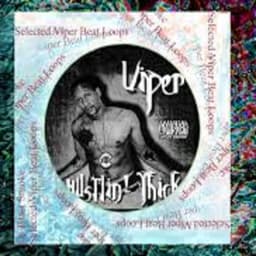 ViperMADEthisBEAt Instrumentals - Viper