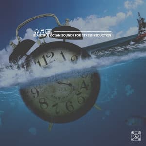 Beautiful Ocean Sounds for Stress Reduction - Tailormade Ocean Waves
