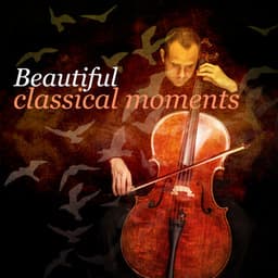 Beautiful Classical Moments - Classics for a Rainy Day