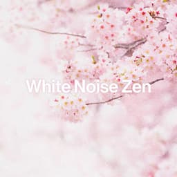 White Noise Zen - Best Noise