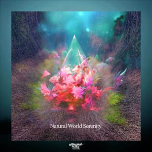 Natural World Serenity - Binaural Sleep Collective