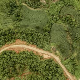 0 Hour Leaves: Ear To Ear Nature - Baltic Nature Sounds