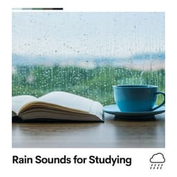 Rain Sounds for Studying - Rain Sounds & Nature Sounds