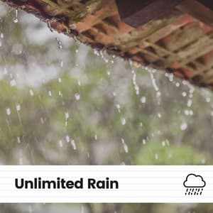 Unlimited Rain - Nature & Rainforest Sounds Collective