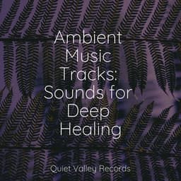 Ambient Music Tracks: Sounds for Deep Healing - Rain Sounds & White Noise