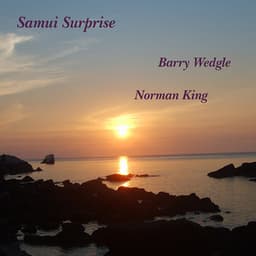 Samui Surprise - Barry Wedgle