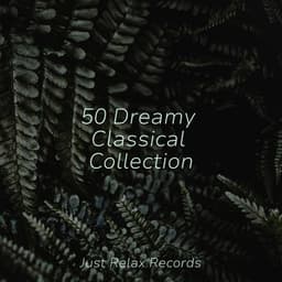 50 Dreamy Classical Collection - Chinese Relaxation and Meditation