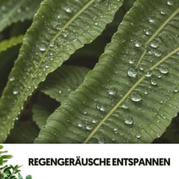 Regen-Spa-Klänge: Seelenvolle Kraft des Wassers - Cat Music