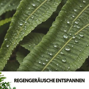 Regen-Spa-Klänge: Seelenvolle Kraft des Wassers - Cat Music