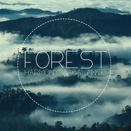 Forest Harmony & Balance: Natural Well-Being Music - Calm Singing Birds Zone