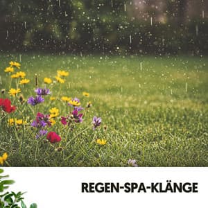Regen-Spa-Klänge: Wer Erde - Cat Music Therapy