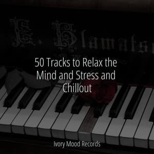 50 Tracks to Relax the Mind and Stress and Chillout - Ivory Mood