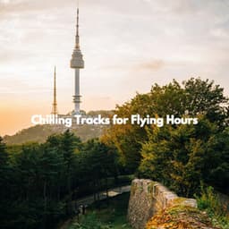 Chilling Tracks for Flying Hours - Music for Cooking