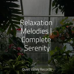 Relaxation Melodies | Complete Serenity - Deep Horizon Waves