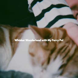 Whisker Wonderland with My Furry Pal - Bossa Nova Jazz Lounge