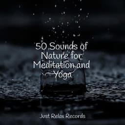 50 Sounds of Nature for Meditation and Yoga - Massage Therapy Music