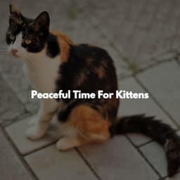 Peaceful Time For Kittens - Unwind Jazz Relax