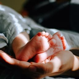 Baby Wonderland: Lofi Music for Calm and Joy - Total Relax Lo Fi Music