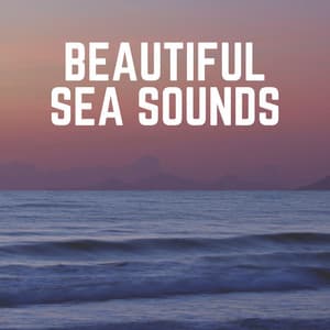 Beautiful Sea Sounds - Relaxation Ocean Waves Academy