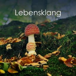 Lebensklang - Klangschalenmeditation