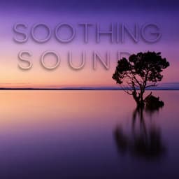 Soothing Sounds - Sleep Sounds