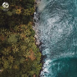 Nature's Symphony Meets Piano - Mystic Nature