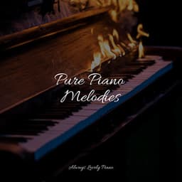 50 Calming Melodies to Help You Study and Meditate - Little Magic Piano