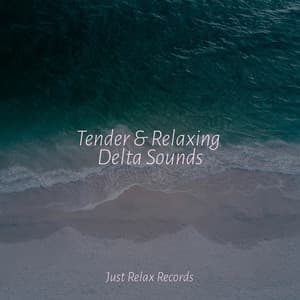 Tender & Relaxing Delta Sounds - Lullabies for Deep Meditation