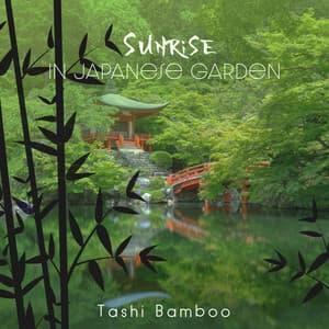 Sunrise in Japanese Garden - Tashi Bamboo