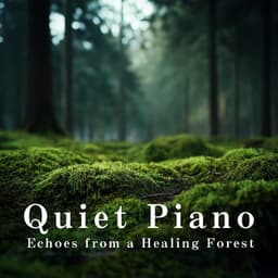 Quiet Piano Echoes from a Healing Forest - LOVE BOSSA