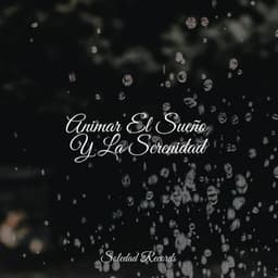 Animar El Sueño Y La Serenidad - Relajación Meditar Academie