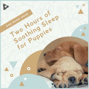 2 Hours of Soothing Sleep for Puppies - Dog Music Hour