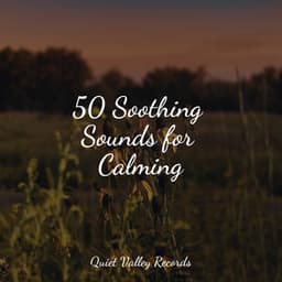 50 Soothing Sounds for Calming - It's Raining