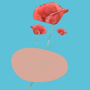 Backdrop for Moment November - Bossa Guitar Trio with Jazz Organ - Chill Vibes