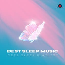 Deep Sleep Playlist - Best Sleep Music