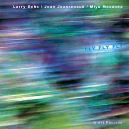 Fly Fly Fly - Larry Ochs
