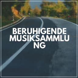 Beruhigende Musiksammlung - Musik für Tiefenschärfe