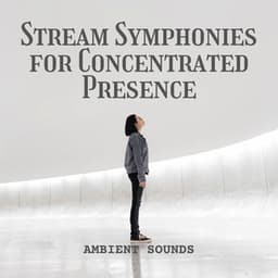 Ambient Sounds: Stream Symphonies for Concentrated Presence - The One-Lane Bridge