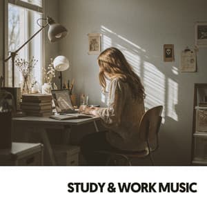 Study & Work Music: Melodies for Productivity and Focus - Cat Music Therapy