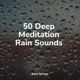 50 Deep Meditation Rain Sounds - The Sleep Specialist
